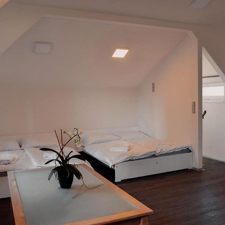 Apartmany Centrum Nový Bor Exteriér fotografie