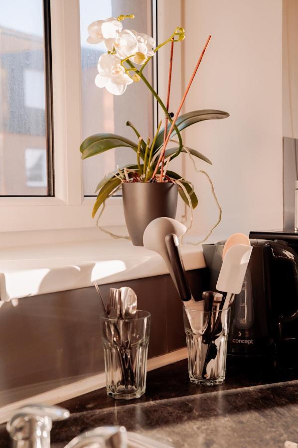 Apartmany Centrum Nový Bor Exteriér fotografie